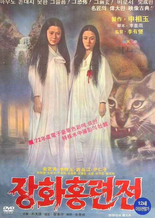 Постер История двух сестёр