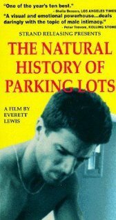 Постер История о парковочных местах