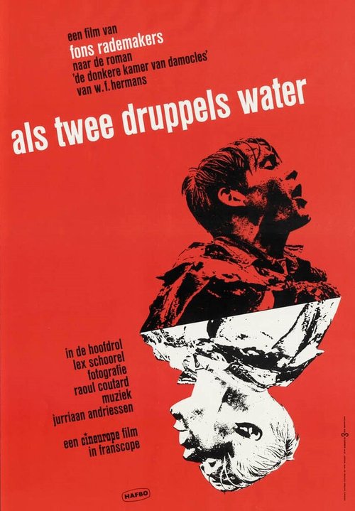 Постер Как две капли воды