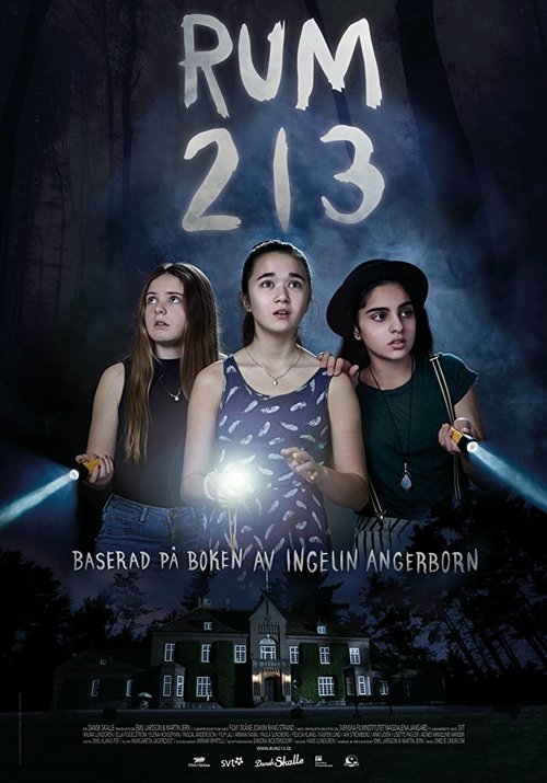 Постер Комната 213