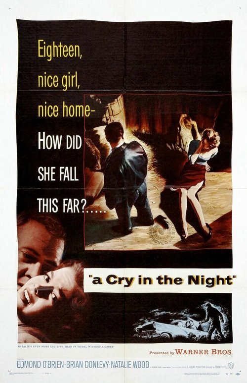 Постер Крик в ночи