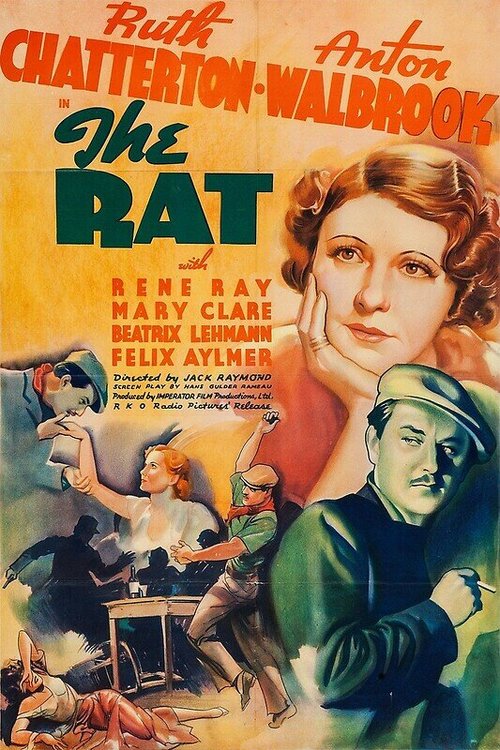 Постер Крыса