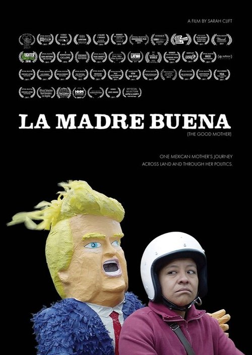 Постер La Madre Buena (The Good Mother)