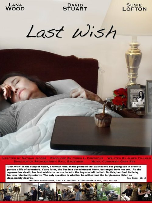 Постер Last Wish
