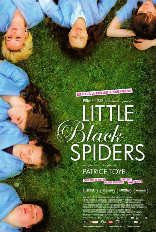 Постер Little Black Spiders