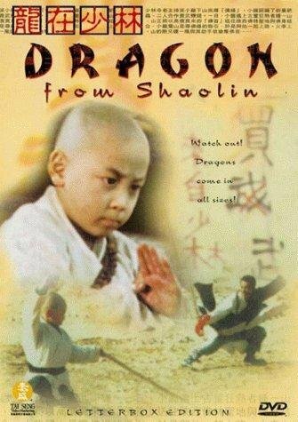 Постер Long zai Shaolin