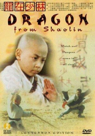 Long zai Shaolin скачать фильм торрент