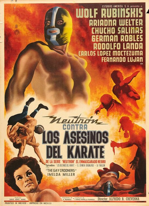 Постер Los asesinos del karate