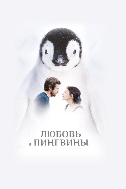Постер Любовь и пингвины