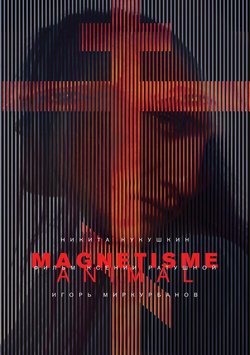 Постер Магнетизм