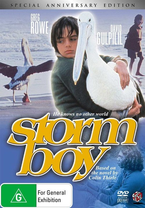 Постер Мальчик и океан