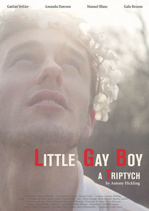 Постер Маленький мальчик-гей