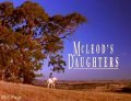 Постер McLeod's Daughters