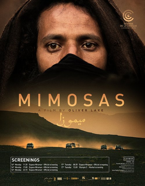 Постер Мимозы