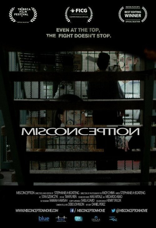 Постер Misconception