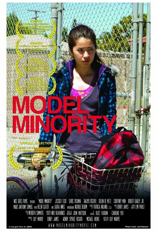 Постер Model Minority