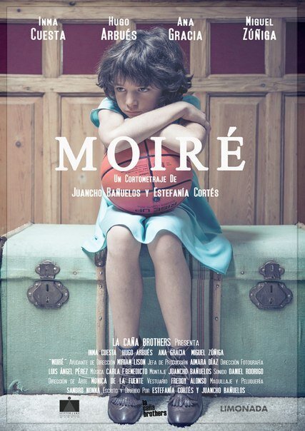 Постер Moiré