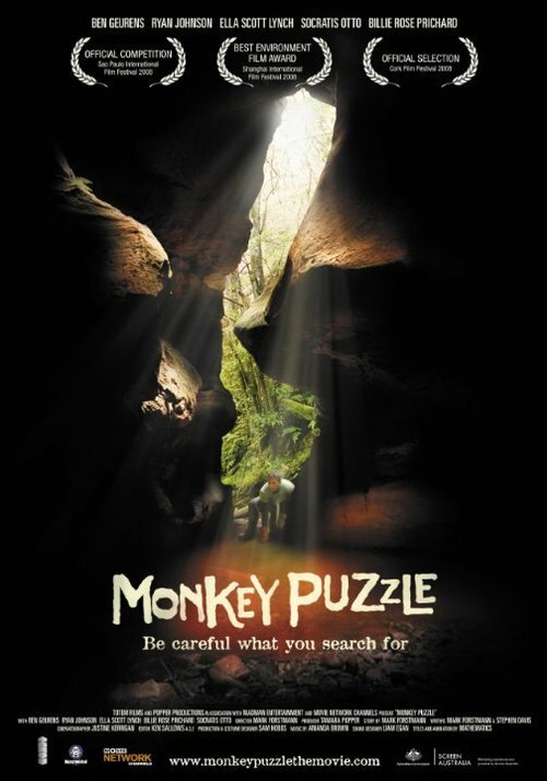 Постер Monkey Puzzle