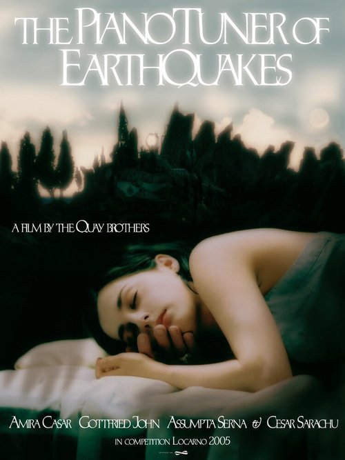 Постер Настройщик землетрясений
