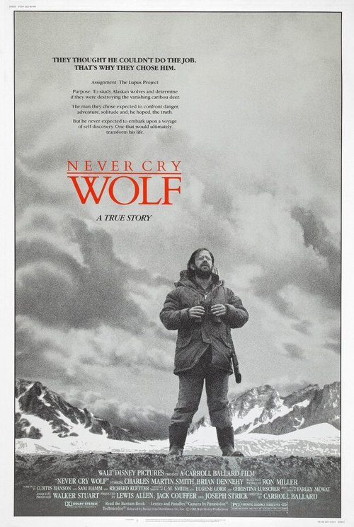 Постер Не кричи «Волки!»