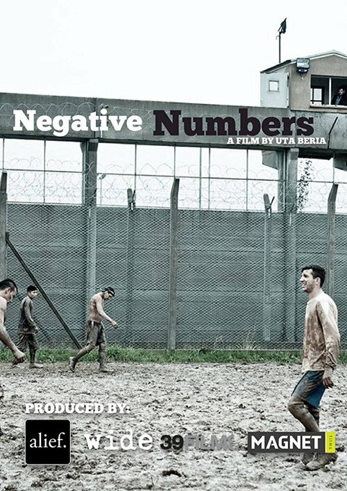 Постер Negative Numbers