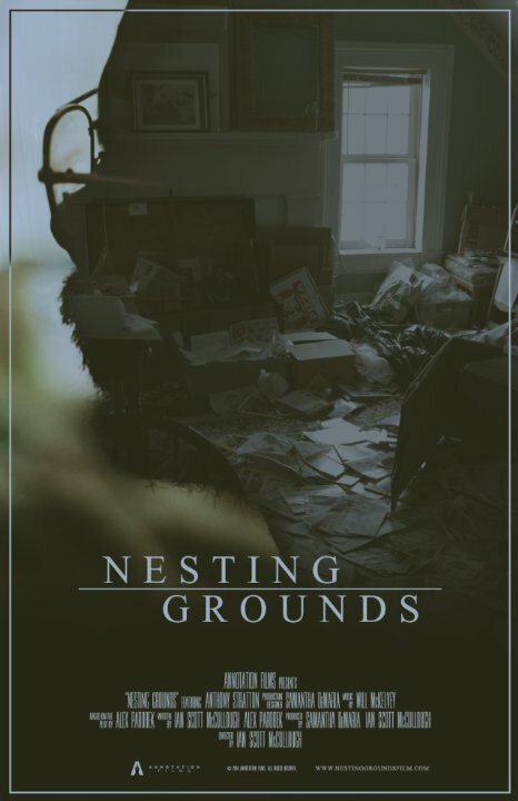 Постер Nesting Grounds