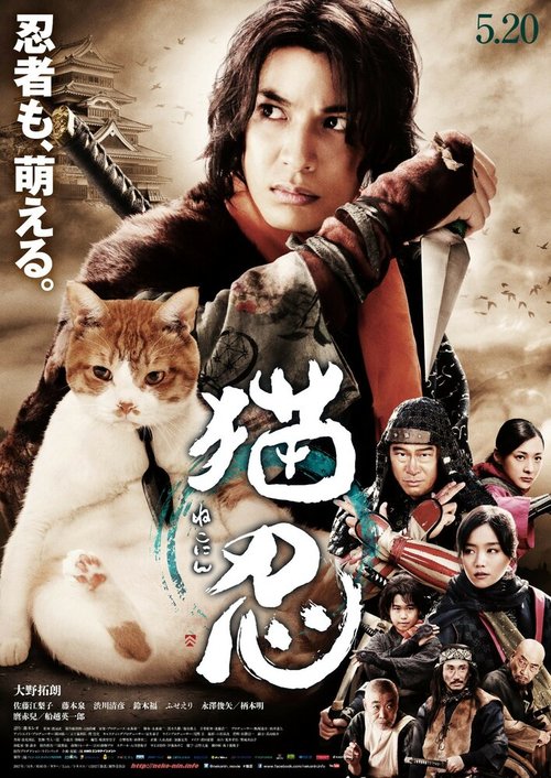Постер Ниндзя и кот