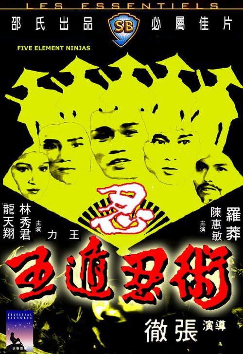 Постер Ниндзя пяти стихий