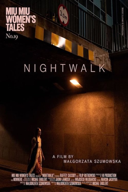 Постер Ночная прогулка