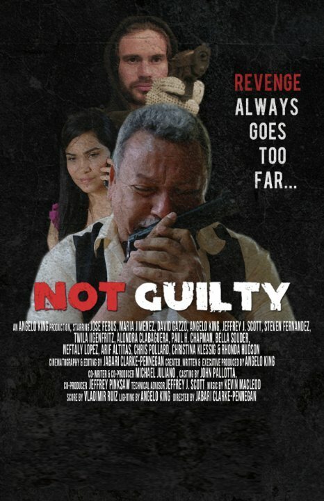 Постер Not Guilty