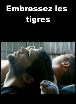 Постер Обнимите тигров