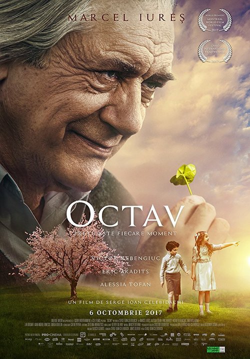 Постер Octav