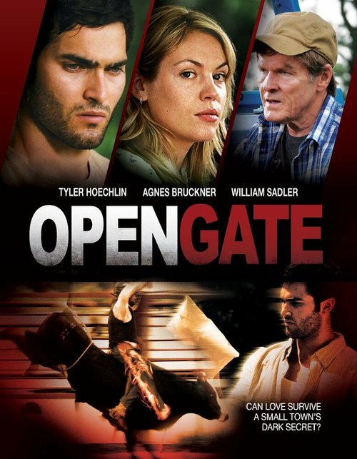 Постер Открытые ворота