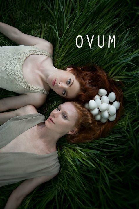 Постер Ovum