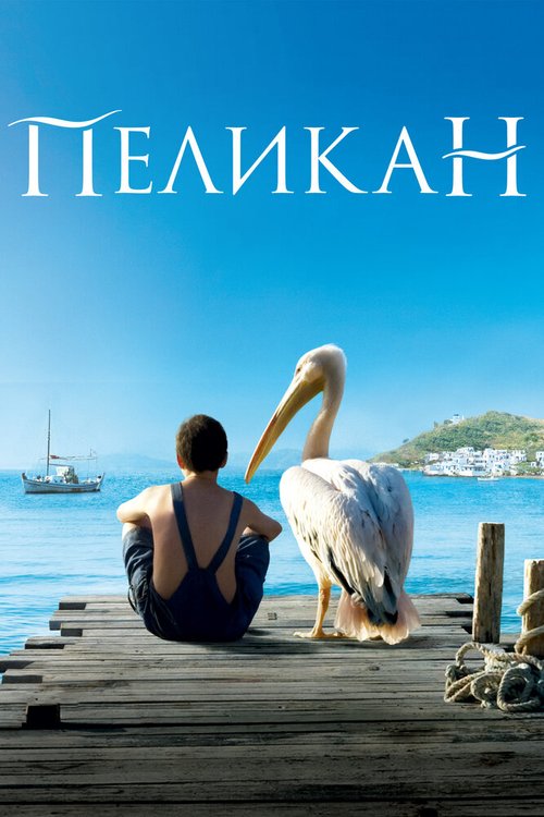 Постер Пеликан