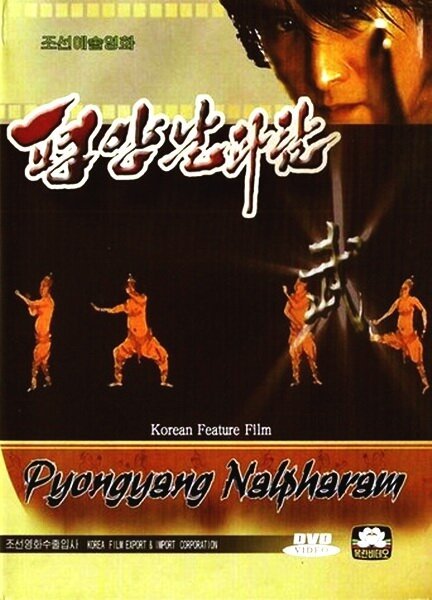 Постер Пхеньян нальпхарам
