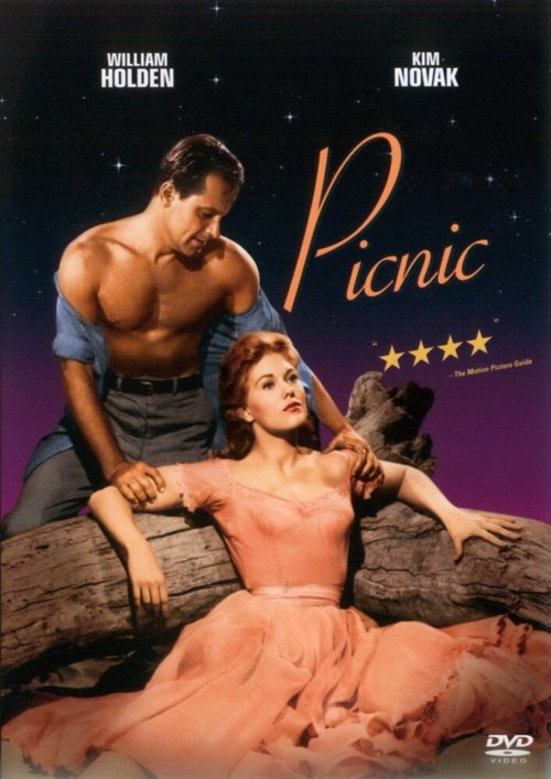 Постер Пикник