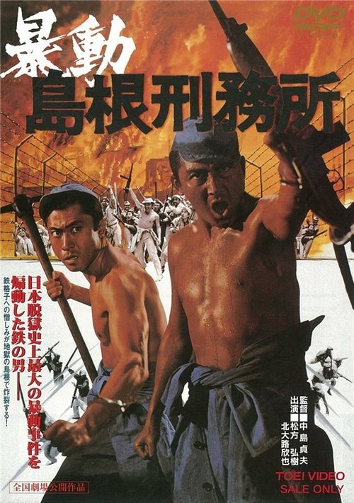 Постер Побег из тюрьмы Симанэ