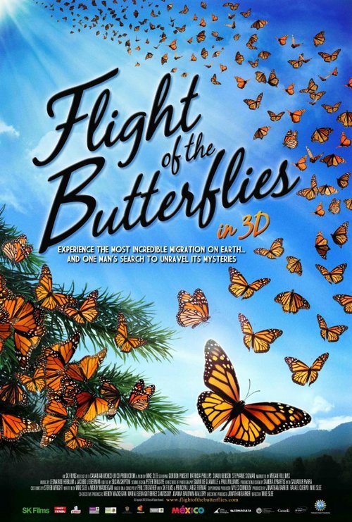Постер Полет бабочек