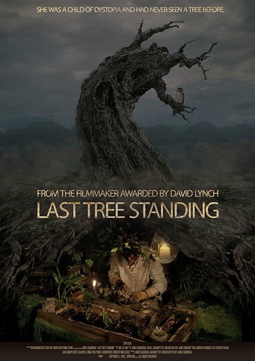 Постер Последнее оставшееся дерево