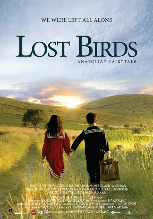 Постер Потерянные птицы