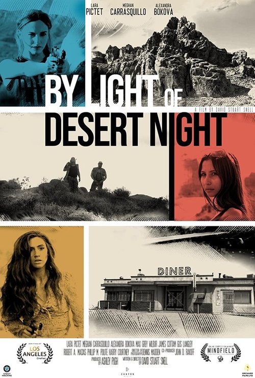 Постер При свете пустынной ночи