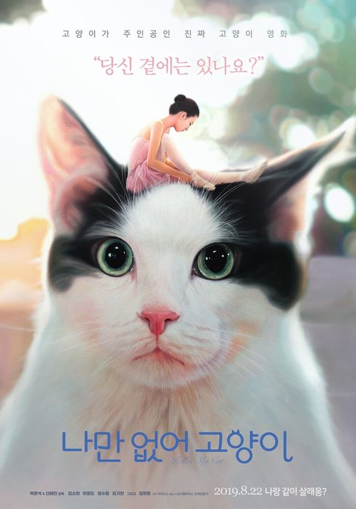 Постер Привет, кот