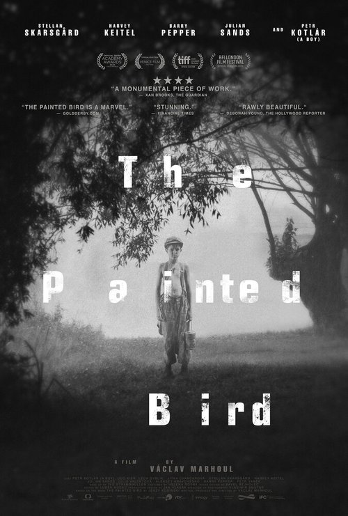 Постер Раскрашенная птица