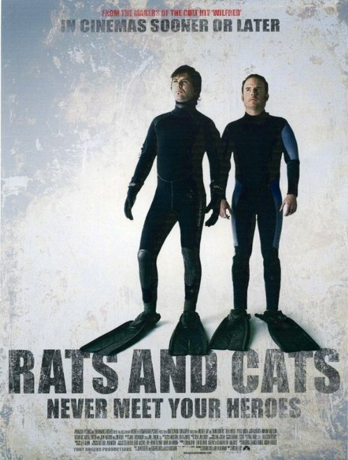 Постер Rats and Cats