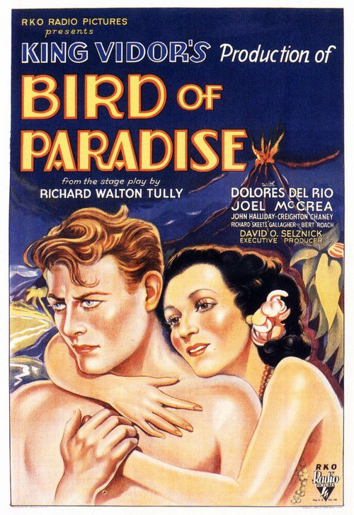 Постер Райская птичка