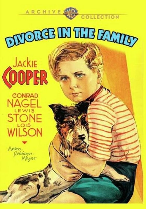Постер Развод в семье