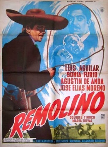 Постер Remolino