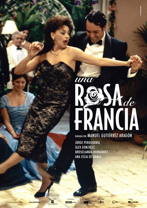 Постер Роза Франции