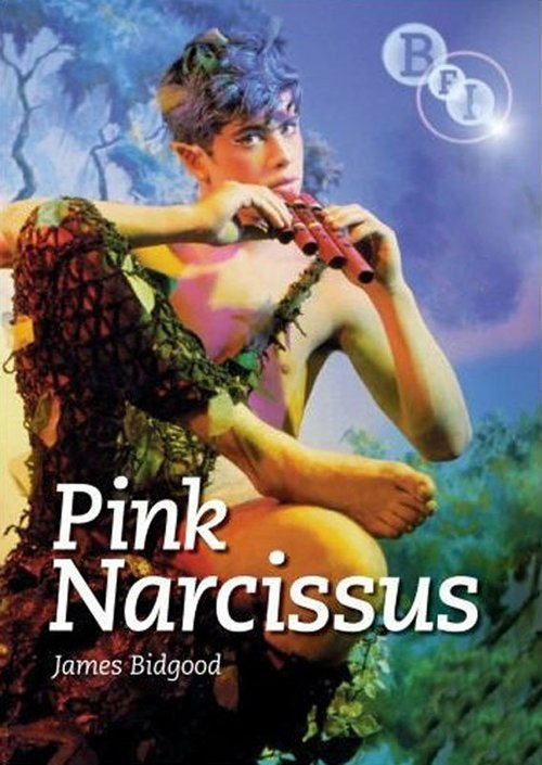 Постер Розовый нарцисс